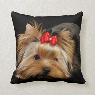 Beautiful dog pillow