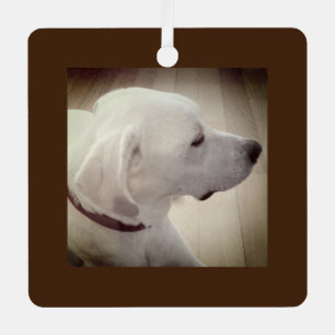 Beautiful Dog Profile Photo Dark Brown Rustic Metal Tree Decoration