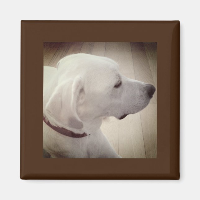 Beautiful Dog Profile Photo Magnet (Front)
