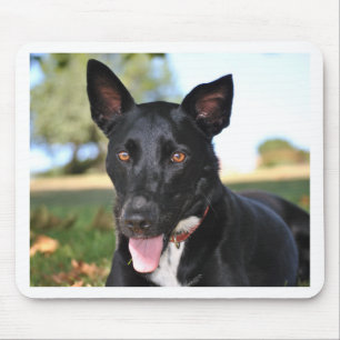 Beautiful dog with hazel eyes mouse pad