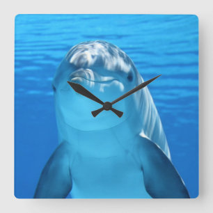 Beautiful dolphin square wall clock