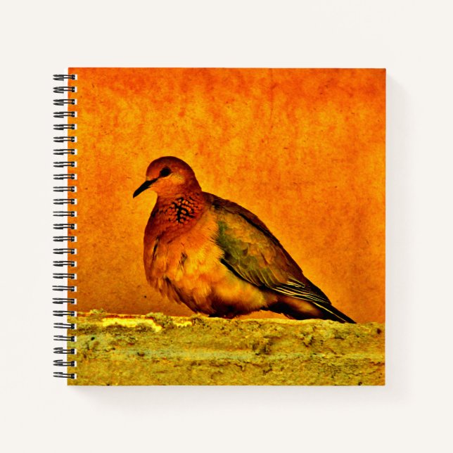 Beautiful Dove Notebook (Front)