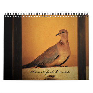 Beautiful Doves Calendar