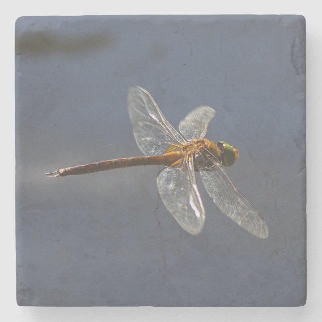 Beautiful Dragonfly Close-Up Over Water Stone Coaster (Front)
