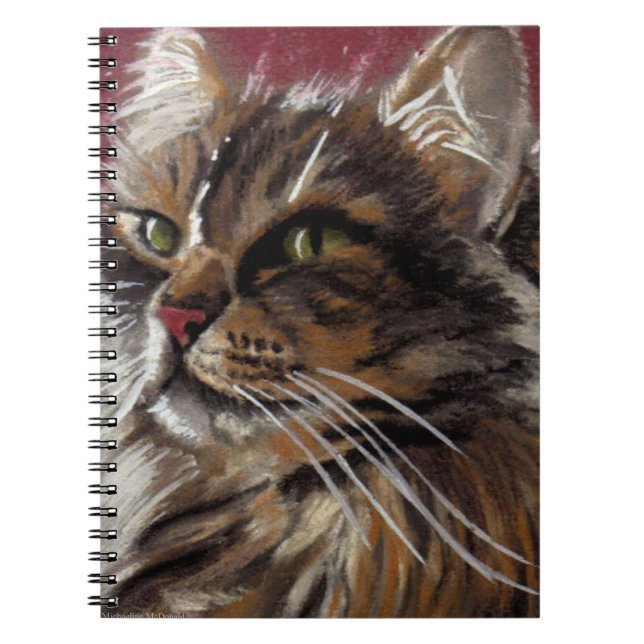 Beautiful Dreamer Spiral Notebook (Front)