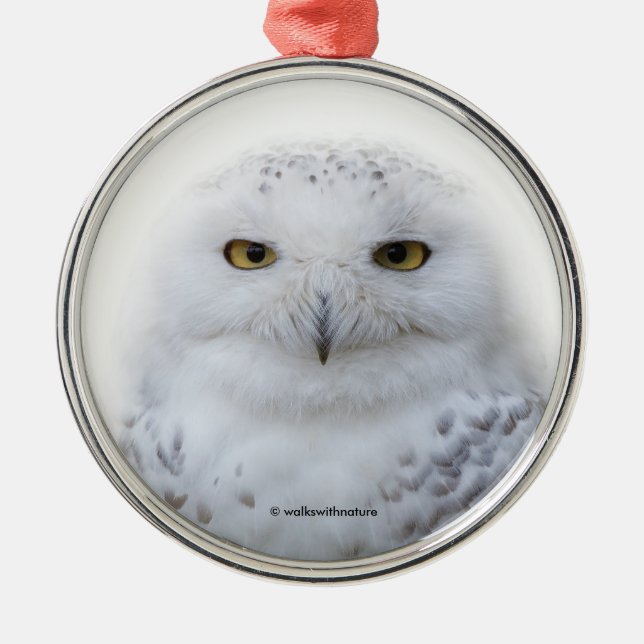Beautiful, Dreamy and Serene Snowy Owl Metal Tree Decoration (Front)