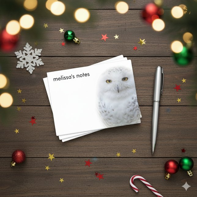 Beautiful, Dreamy and Serene Snowy Owl Post-it Notes (Snowy Owl Post-It Notes Cover Photo)