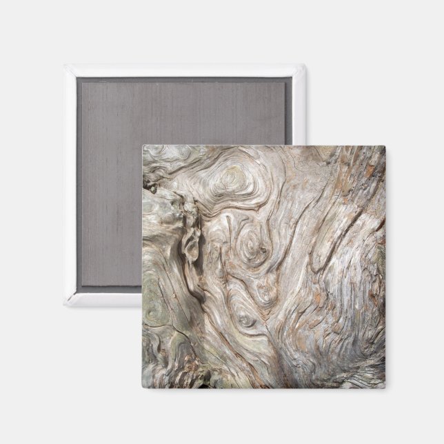 Beautiful Driftwood Nature's Artwork Magnet (Front/Back)
