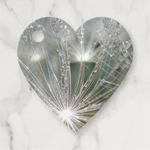Beautiful droplets Favour Tags
