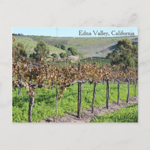Beautiful Edna Valley Postcard! Postcard