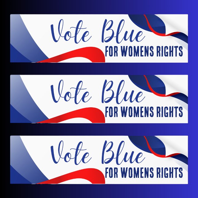 Beautiful Elegant 2024 Election Biden Harris Bumper Sticker (Creator Uploaded)