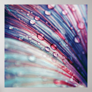 Beautiful Elegant Abstract Pink Blue Flower Drops Poster