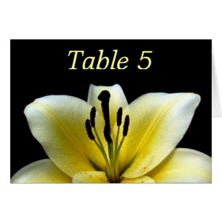 Beautiful Elegant Yellow on Black Flower