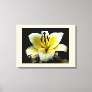Beautiful Elegant Yellow on Black Flower Canvas Print