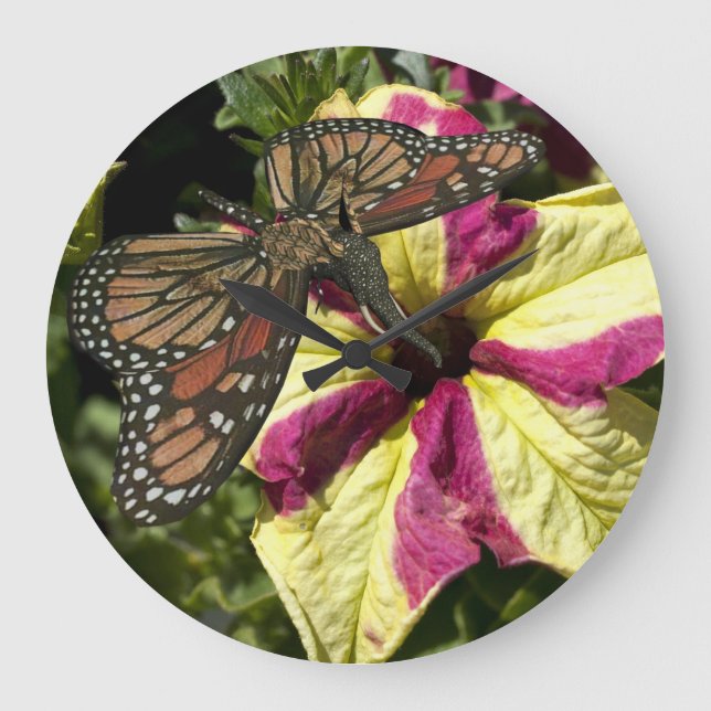 Beautiful Elephant Butterfly Large Clock (Front)