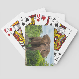Beautiful Elephant Playing in the Grass Cards