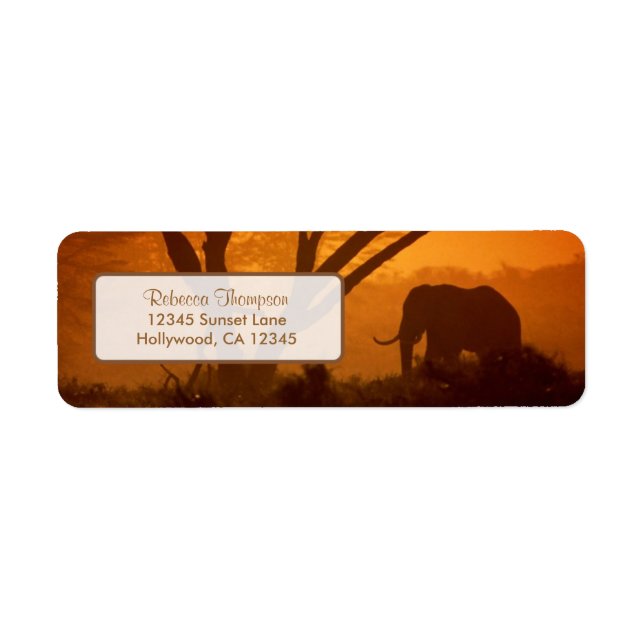 Beautiful Elephant Silhouette during Sunset (Front)