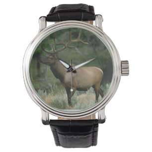 Beautiful Elk Watch