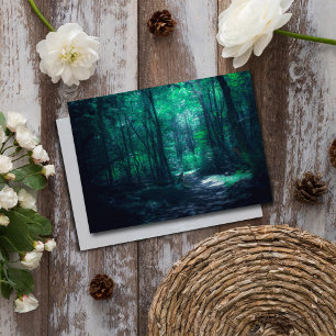 Beautiful Enchanted Forest Woodland Nature Photo Card