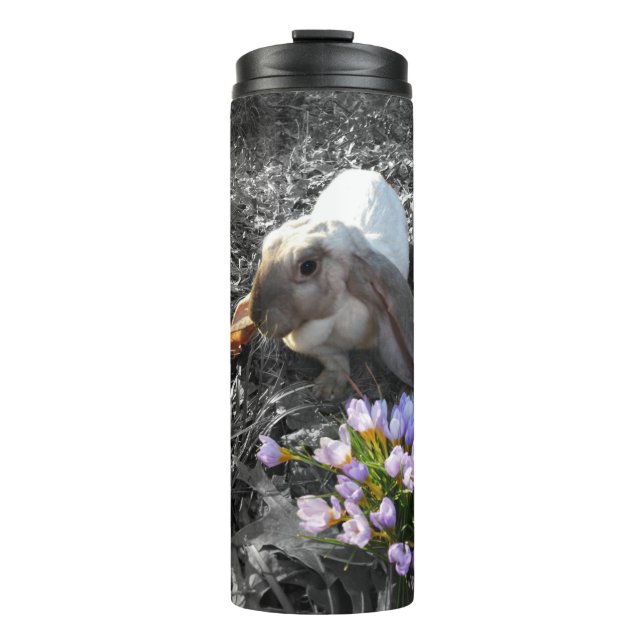 Beautiful English Lop with Flowers Thermal Tumbler (Front)