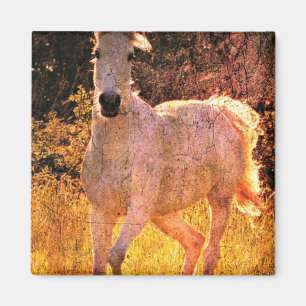 Beautiful Equine Magnet