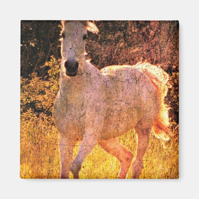 Beautiful Equine Magnet (Front)