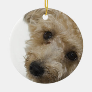 Beautiful Eyes of a Yorkie Poo Puppy Ceramic Tree Decoration