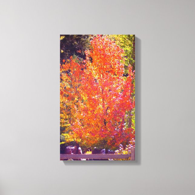 Beautiful Fall Colours 2 Canvas Print (Front)