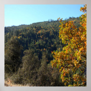 Beautiful Fall colours..... Poster