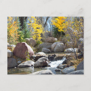 Beautiful Fall Creek Landscape in Aspen, Colorado Postcard