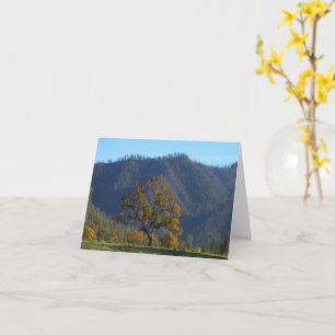 Beautiful Fall Day... Card