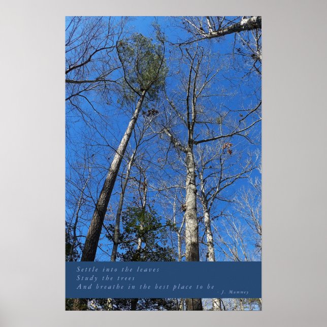 Beautiful Fall Day Poster (Front)