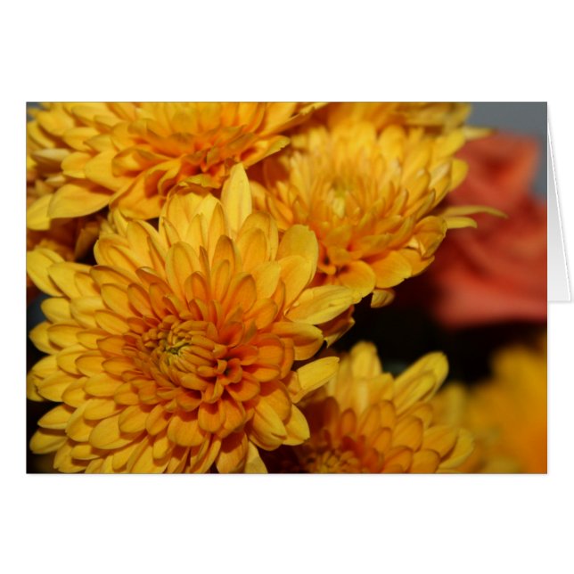 Beautiful Fall Flowers (Front Horizontal)