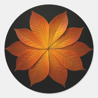 Beautiful Fall Leaves Classic Round Sticker