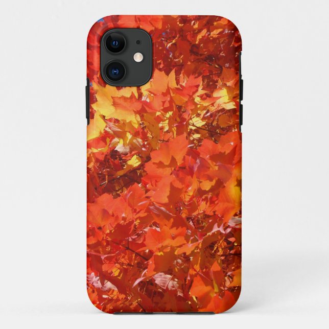 Beautiful Fall Leaves iPhone cases gifts Thanks (Back)