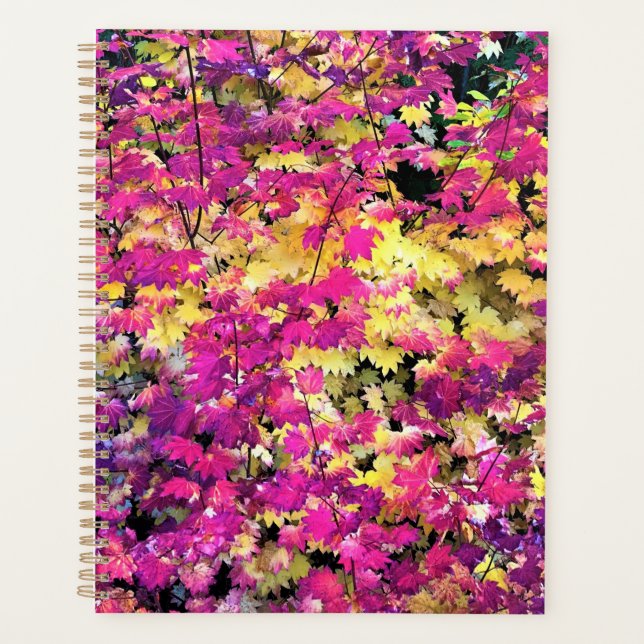Beautiful Fall Leaves Planner (Front)