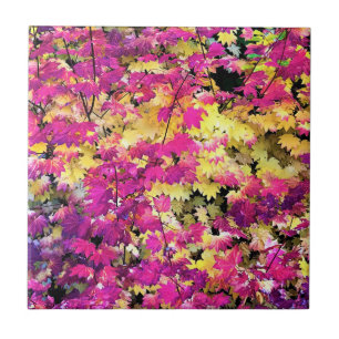 Beautiful Fall Leaves Tile