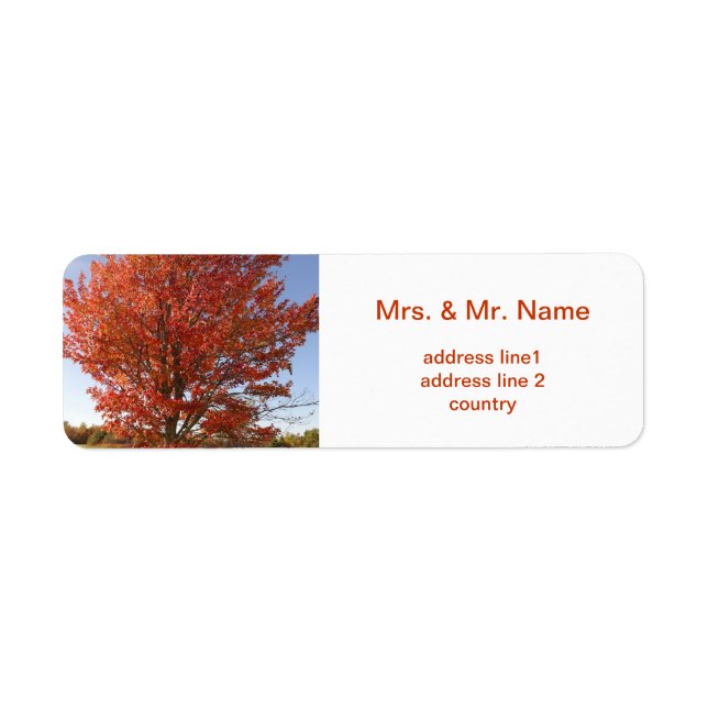 Beautiful Fall  Maple Tree in Red Leaves (Front)
