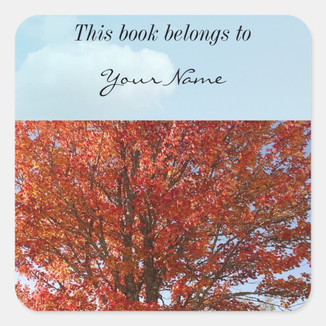 Beautiful Fall  Maple Tree in Red Leaves Square Sticker (Front)