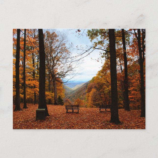 Beautiful Fall Postcard (Front)