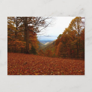 Beautiful Fall Postcard