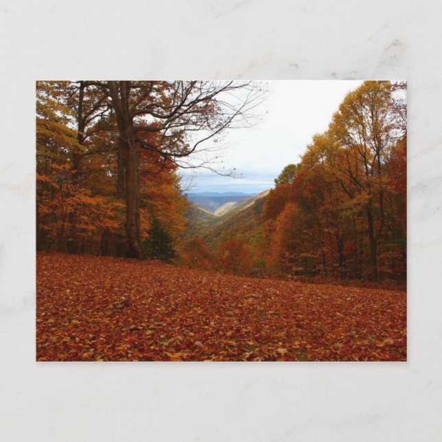 Beautiful Fall Postcard (Front)