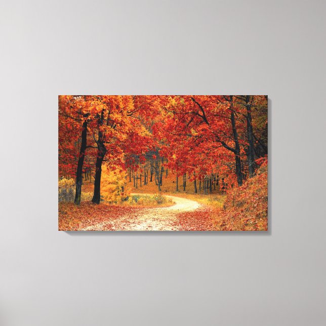 Beautiful Fall Road Canvas Print (Front)