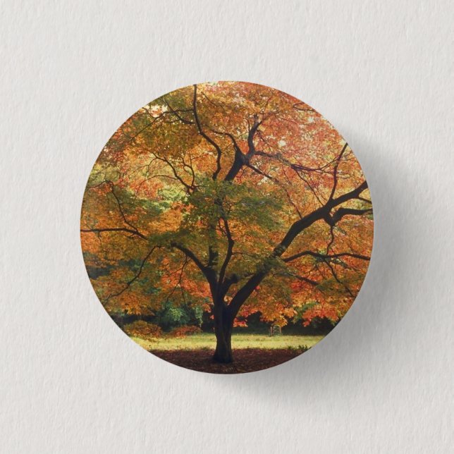 Beautiful Fall Tree 3 Cm Round Badge (Front)