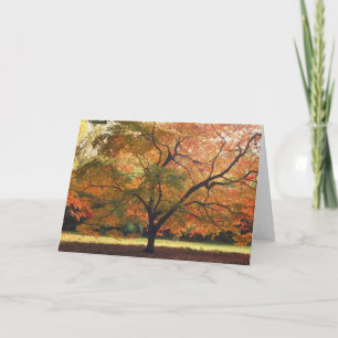 Beautiful Fall Tree Card