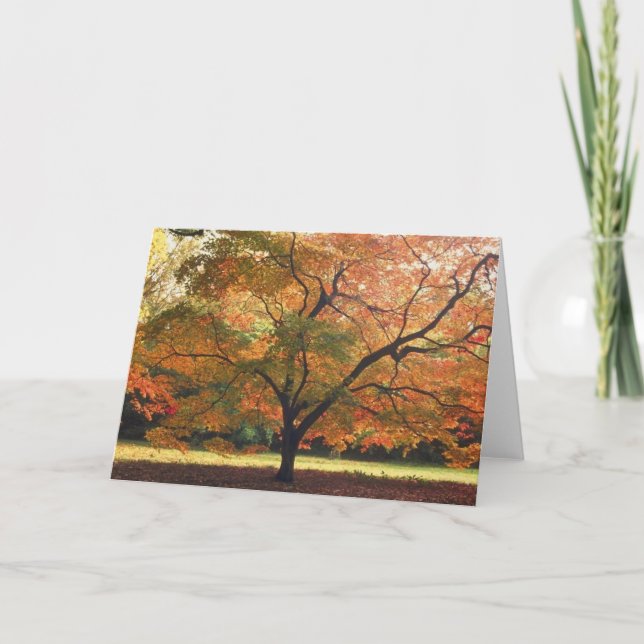 Beautiful Fall Tree Card (Front)