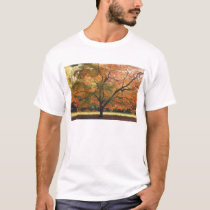 Beautiful Fall Tree T-Shirt