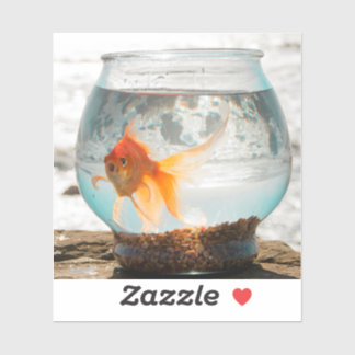 Beautiful fantail goldfish in bowl by Ocean