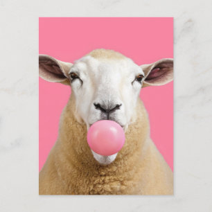Beautiful Fantasy White Sheep Chewing Bubble Gum Postcard