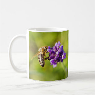 Beautiful Feeding Bee Coffee Mug